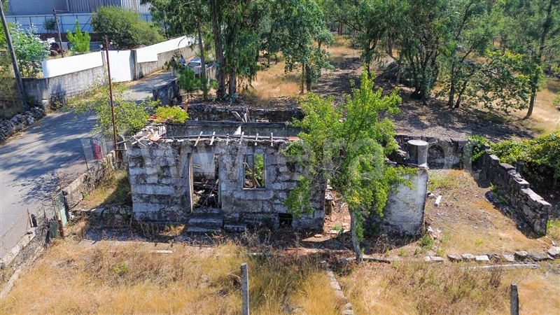 Terreno com ruina  Santo Tirso, São Tomé Negrelos - 1496179 - 2