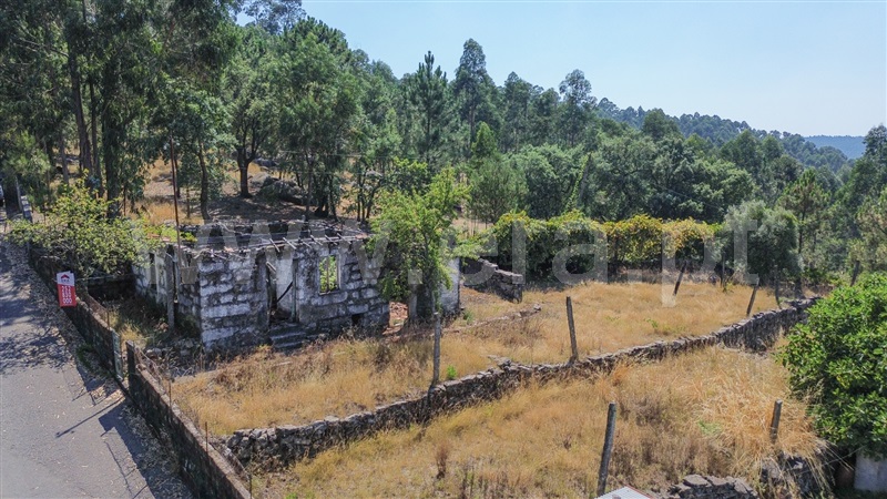Terreno com ruina  Santo Tirso, São Tomé Negrelos - 1496179 - 3