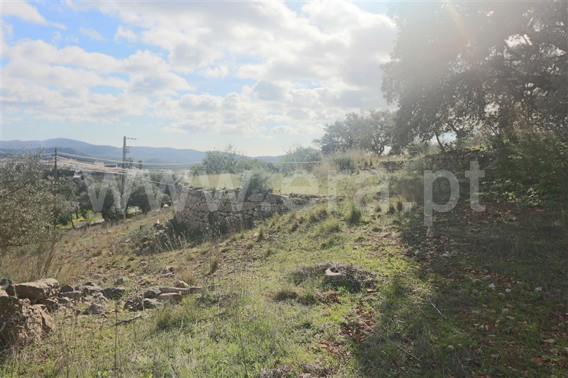 Terreno com ruina / São Brás de Alportel, São Brás de Alportel