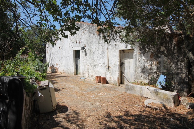 Terreno com ruina / São Brás de Alportel, São Brás de Alportel