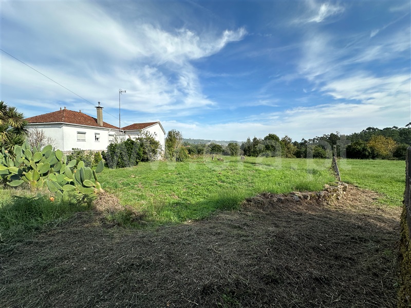 Terreno C/ Ruína, Carvalhais e Candal , São Pedro do Sul - 1359767 - 12