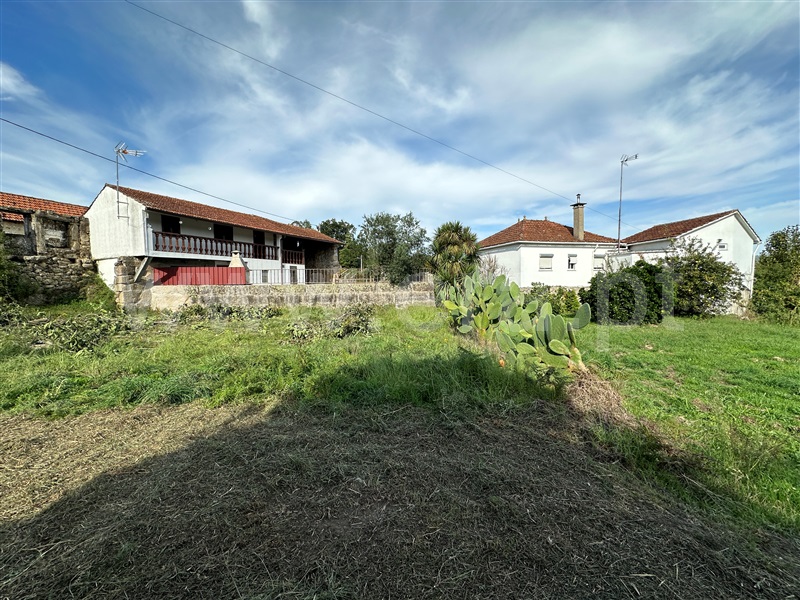Terreno C/ Ruína, Carvalhais e Candal , São Pedro do Sul - 1359767 - 13