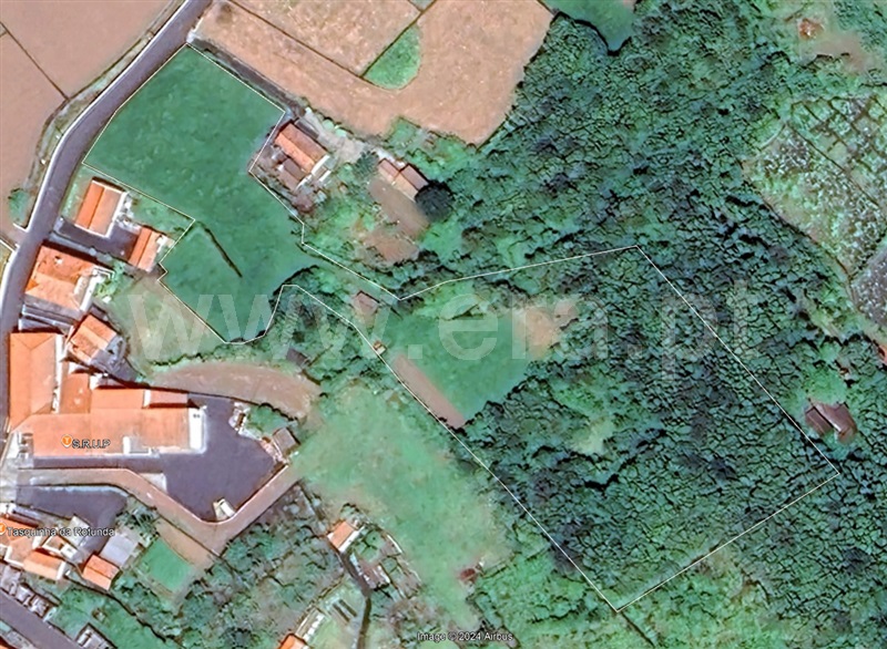 Terreno com ruina  São Roque do Pico, Prainha - 1429461 - 3