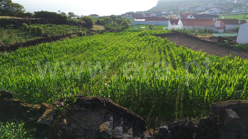 Terreno com ruina  São Roque do Pico, Prainha - 1494173 - 4
