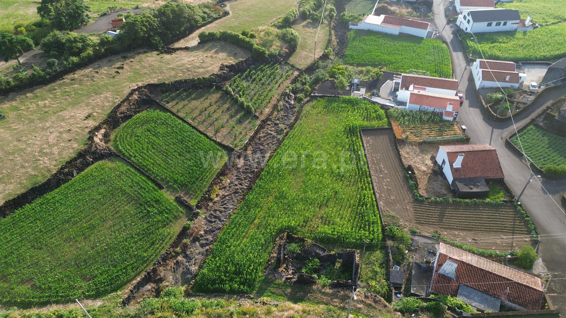 Terreno em São Roque do Pico