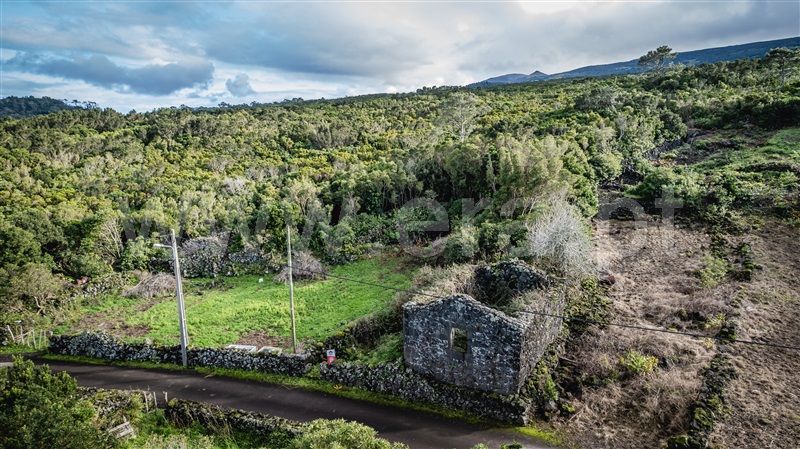Terreno com ruina / São Roque do Pico, Santo António