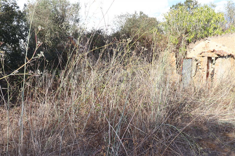 Terreno com ruina  Sardoal, Valhascos - 1279992 - 5