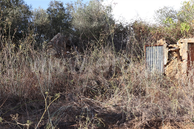 Terreno com ruina  Sardoal, Valhascos - 1279992 - 6