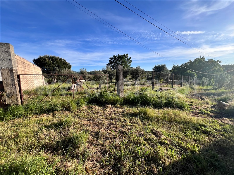 Terreno com ruina  com Urbano Seia, Torrozelo e Folhadosa - 1401514 - 10