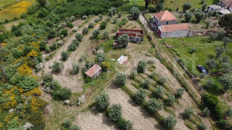 Terreno com ruina  com Urbano Seia, Torrozelo e Folhadosa - 1401514 - 14