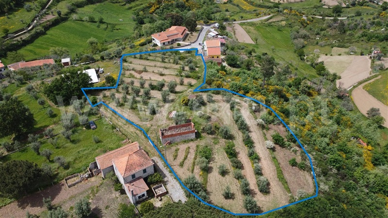 Terreno com ruina / Seia, Folhadosa