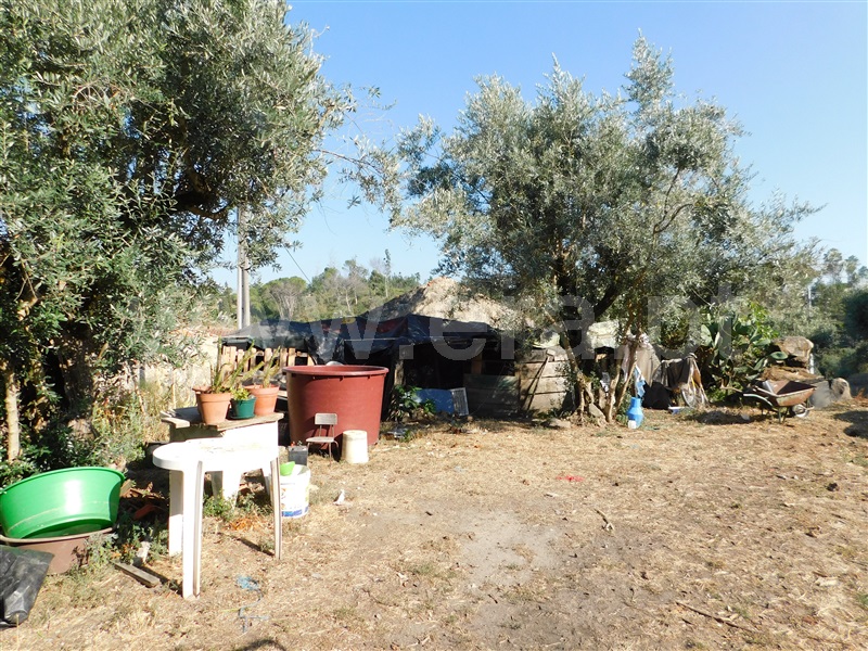Terreno com ruina  Seia, Paranhos - 1265880 - 1