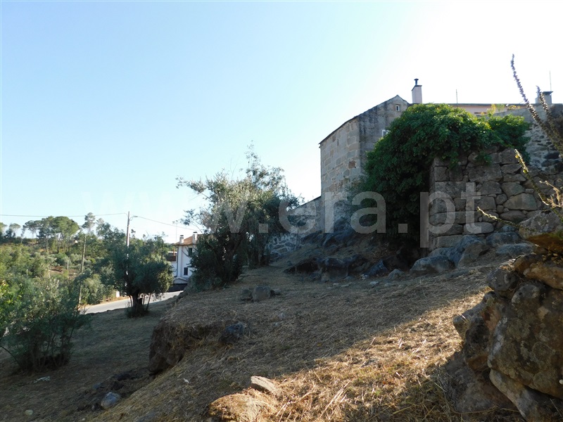Terreno com ruina  Seia, Paranhos - 1265880 - 9