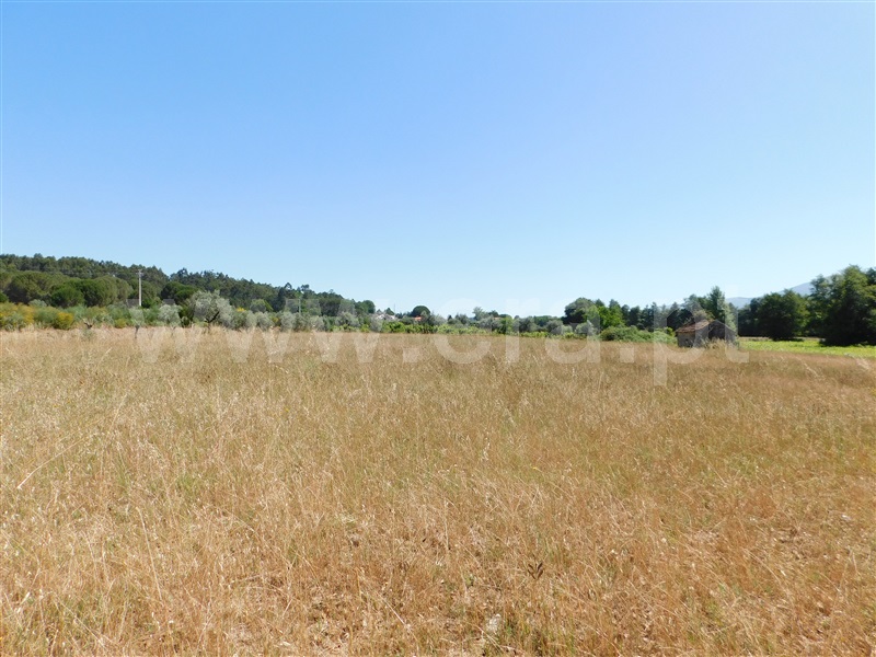 Terreno com ruina  Seia, Pinhanços - 1279557 - 1