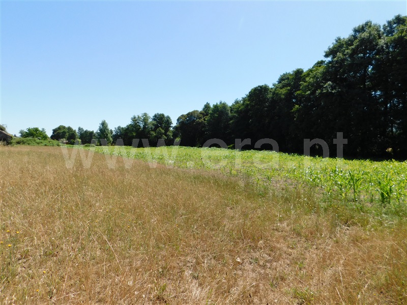 Terreno com ruina  Seia, Pinhanços - 1279557 - 2