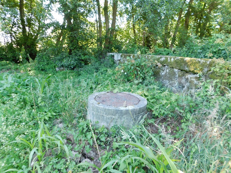 Terreno com ruina  Seia, Pinhanços - 1279557 - 4