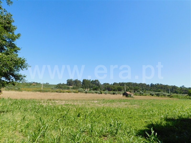 Terreno com ruina  Seia, Pinhanços - 1279557 - 5