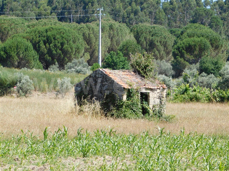 Terreno com ruina  Seia, Pinhanços - 1279557 - 6