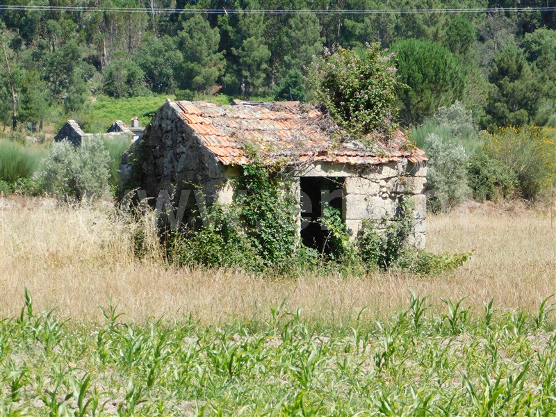 Terreno com ruina  Seia, Pinhanços - 1279557 - 8