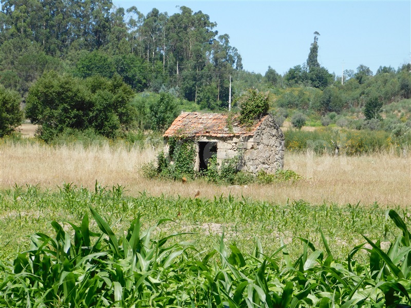 Terreno com ruina  Seia, Pinhanços - 1279557 - 9
