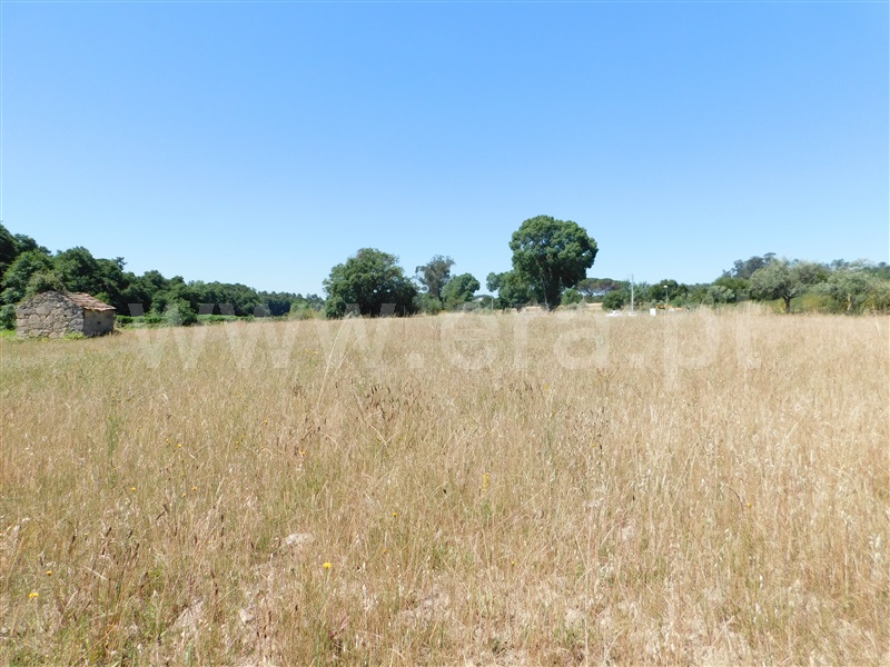 Terreno com ruina  Seia, Pinhanços - 1279557 - 13