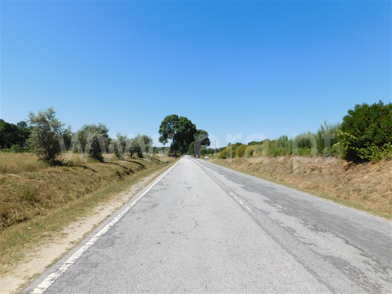 Terreno com ruina  Seia, Pinhanços - 1279557 - 14