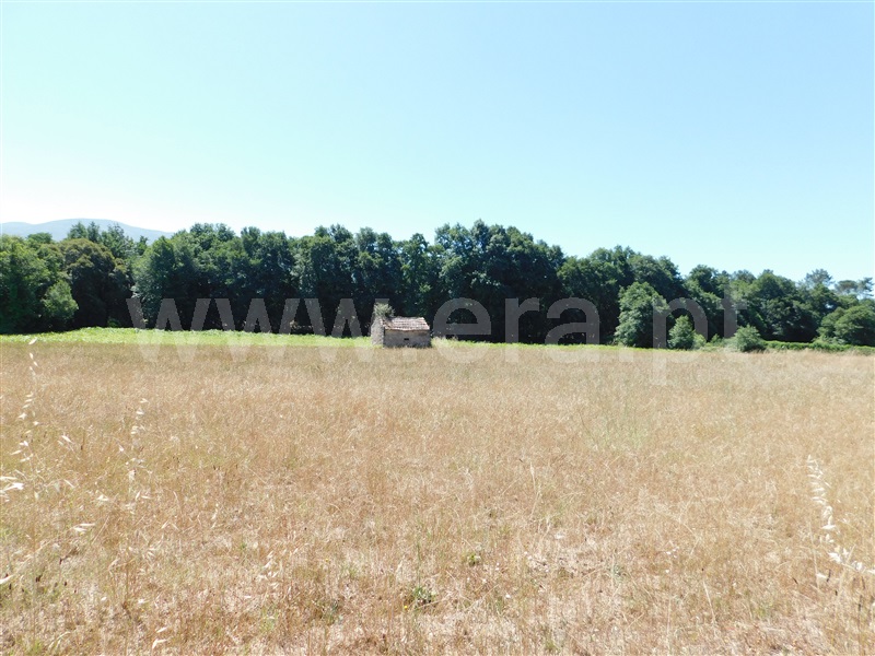 Terreno com ruina  Seia, Pinhanços - 1279557 - 15