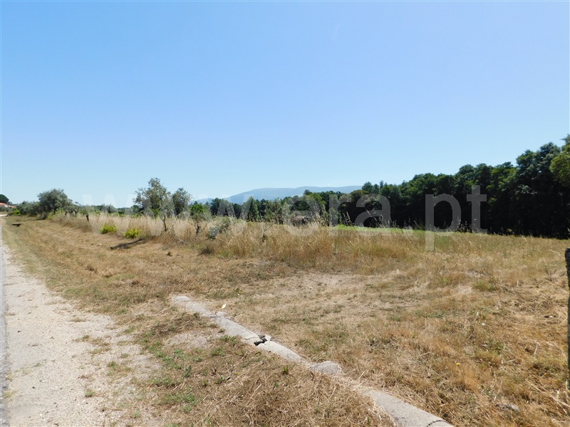 Terreno com ruina  Seia, Pinhanços - 1279557 - 17