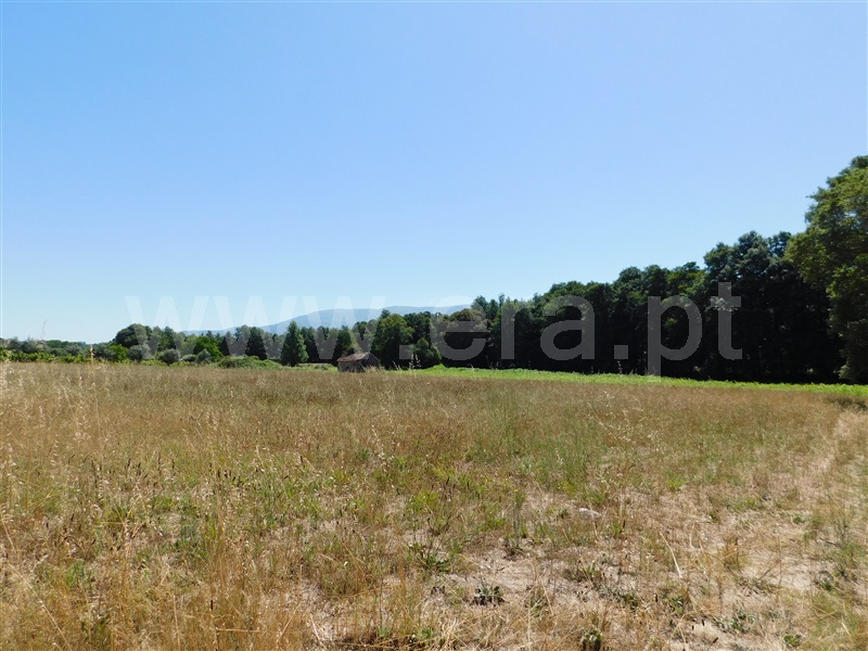 Terreno com ruina  Seia, Pinhanços - 1279557 - 18
