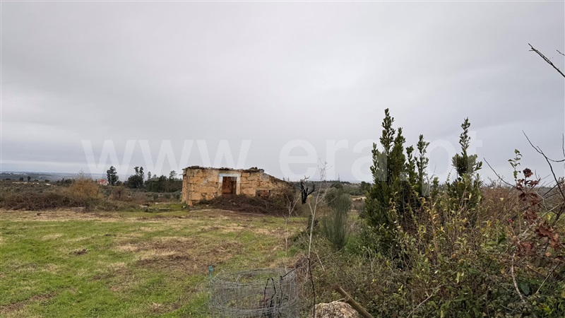 Terreno com ruina  Seia, Sameice e Santa Eulália - 1487458 - 1