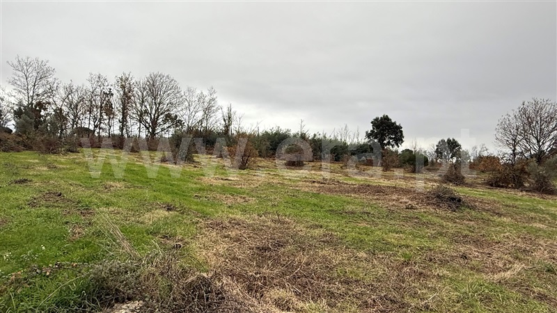 Terreno com ruina  Seia, Sameice e Santa Eulália - 1487458 - 2