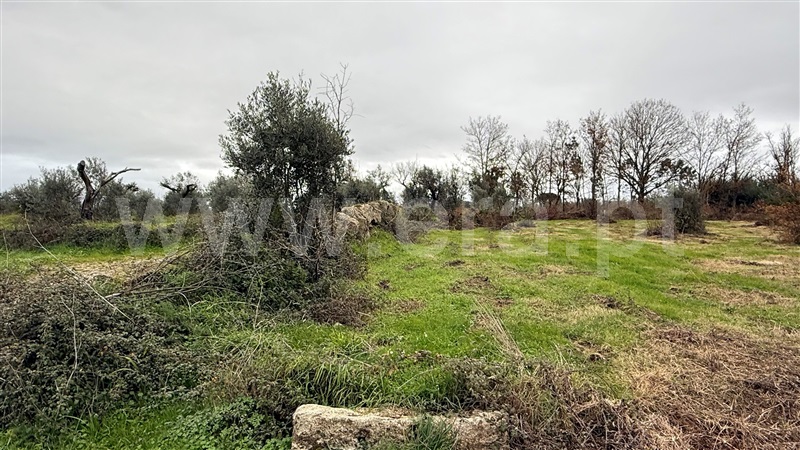 Terreno com ruina  Seia, Sameice e Santa Eulália - 1487458 - 3