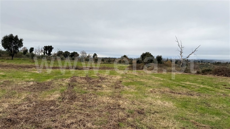 Terreno com ruina  Seia, Sameice e Santa Eulália - 1487458 - 4