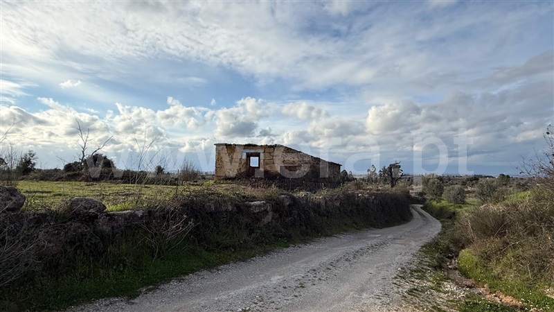 Terreno com ruina  Seia, Sameice e Santa Eulália - 1487458 - 13