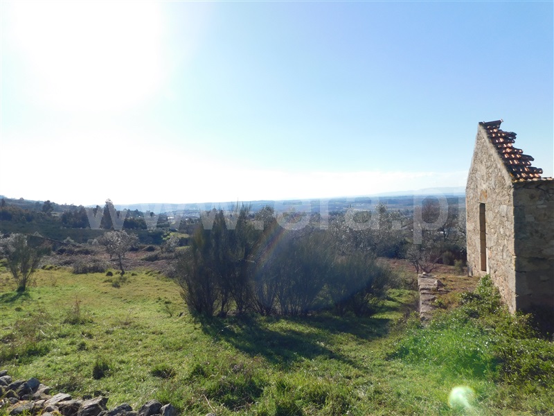 Terreno com ruina  Seia, Santa Marinha e São Martinho - 1310268 - 4