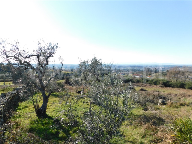 Terreno com ruina  Seia, Santa Marinha e São Martinho - 1310268 - 6