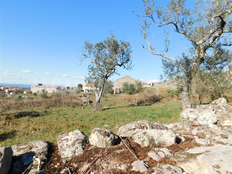 Terreno com ruina  Seia, Santa Marinha e São Martinho - 1310268 - 7