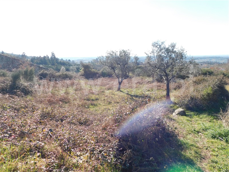 Terreno com ruina  Seia, Santa Marinha e São Martinho - 1310268 - 9