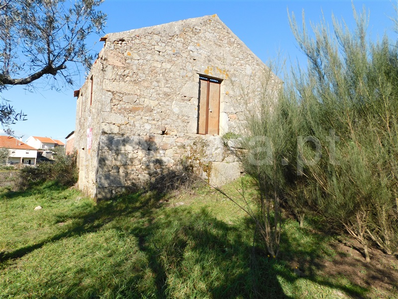Terreno com ruina  Seia, Santa Marinha e São Martinho - 1310268 - 12