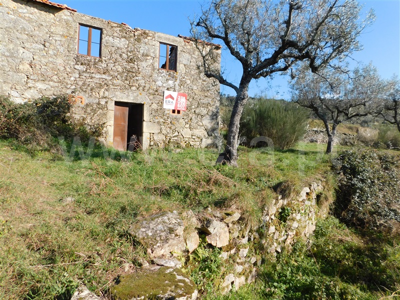 Terreno com ruina  Seia, Santa Marinha e São Martinho - 1310268 - 13
