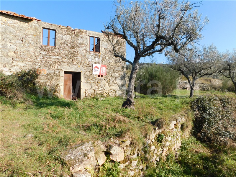 Terreno com ruina  Seia, Santa Marinha e São Martinho - 1310268 - 14