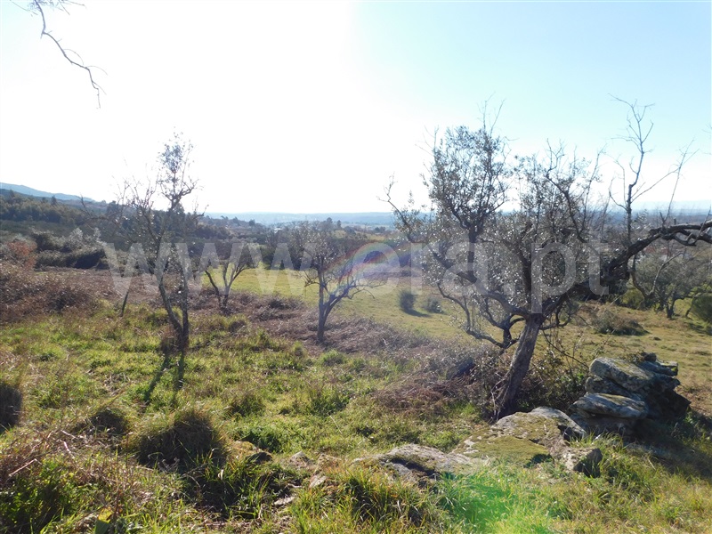 Terreno com ruina  Seia, Santa Marinha e São Martinho - 1310268 - 15