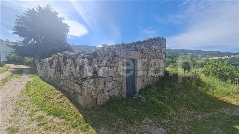 Terreno com ruina  Seia, Santa Marinha e São Martinho - 1324330 - 2