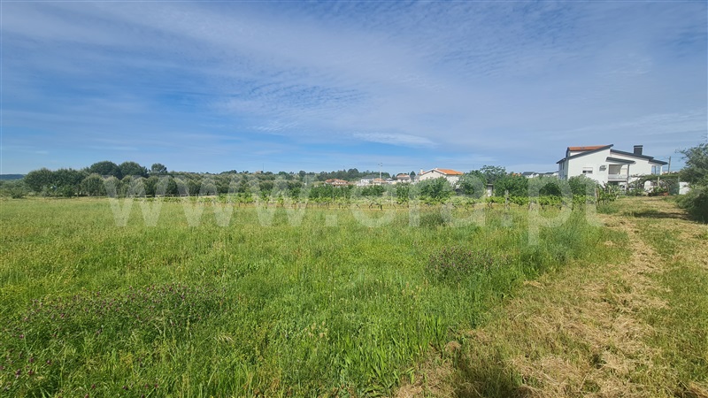 Terreno com ruina  Seia, Santa Marinha e São Martinho - 1324330 - 7