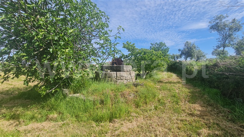 Terreno com ruina  Seia, Santa Marinha e São Martinho - 1324330 - 11