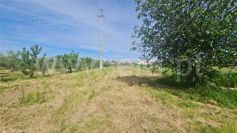 Terreno com ruina  Seia, Santa Marinha e São Martinho - 1324330 - 12