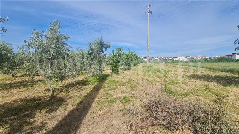 Terreno com ruina  Seia, Santa Marinha e São Martinho - 1324330 - 13