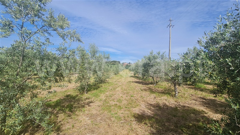 Terreno com ruina  Seia, Santa Marinha e São Martinho - 1324330 - 15