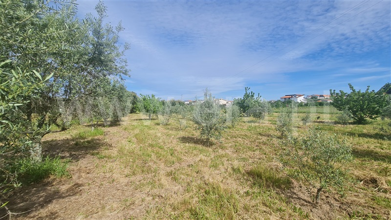 Terreno com ruina  Seia, Santa Marinha e São Martinho - 1324330 - 20