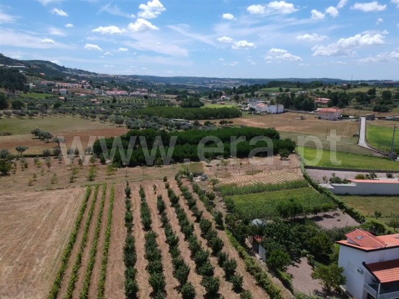Terreno com ruina  Seia, Santa Marinha e São Martinho - 1324330 - 41
